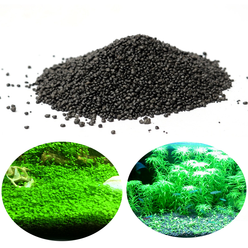 Aquarium Planted Seeds - حوض السمك المياه العشب الطين نبات