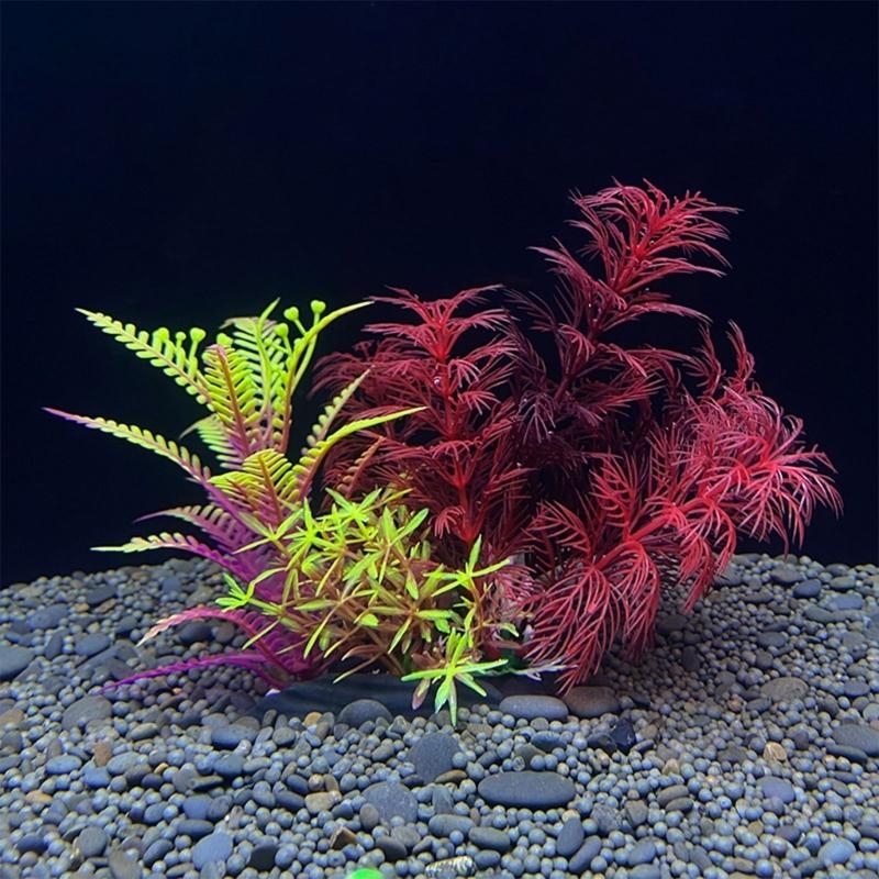 Planted Aquarium Best Fish - حوض السمك الاصطناعي الديكور نبات الأسماك
