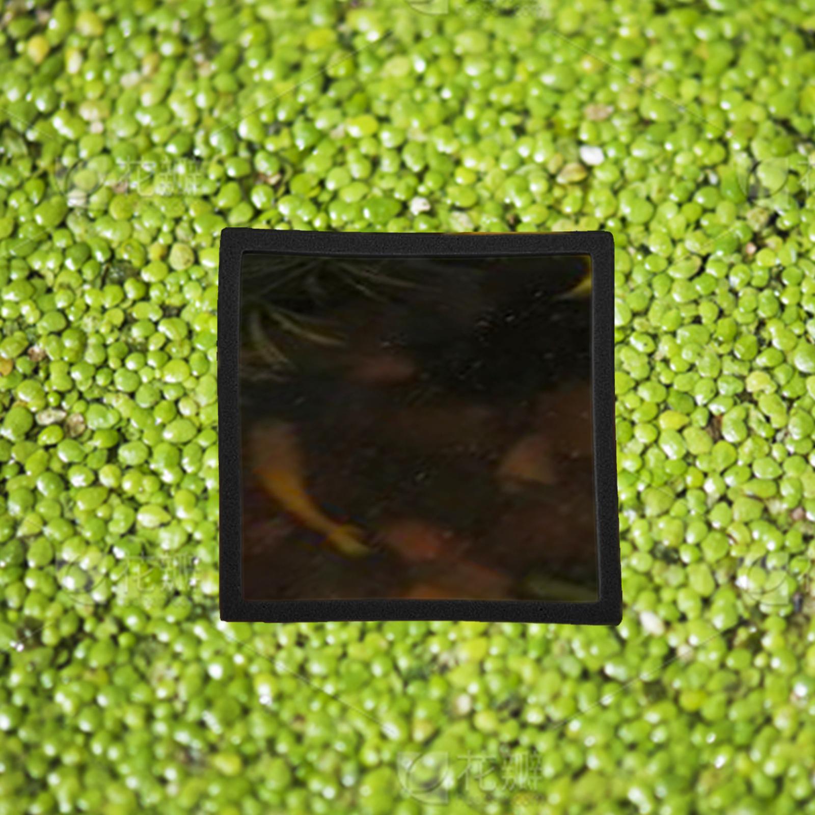 Aquarium Plant Rings - 5 قطع من حلقات النباتات العائمة
