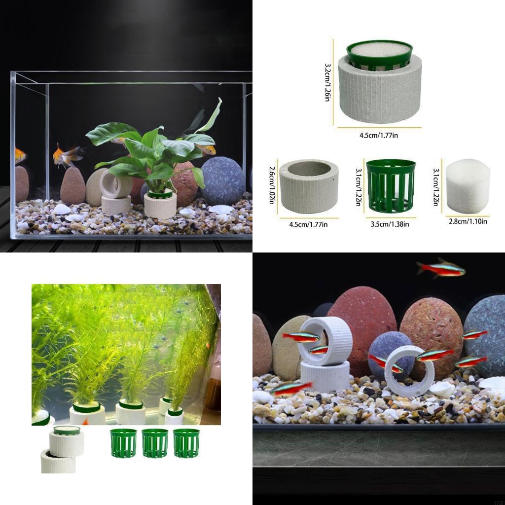 Aquarium Plant Rings - 37ME 10 قطعة حوض السمك النبات