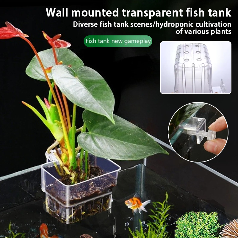 Aquarium Plant Rings - أكواب زرع معلقة للأحواض المائية، حامل