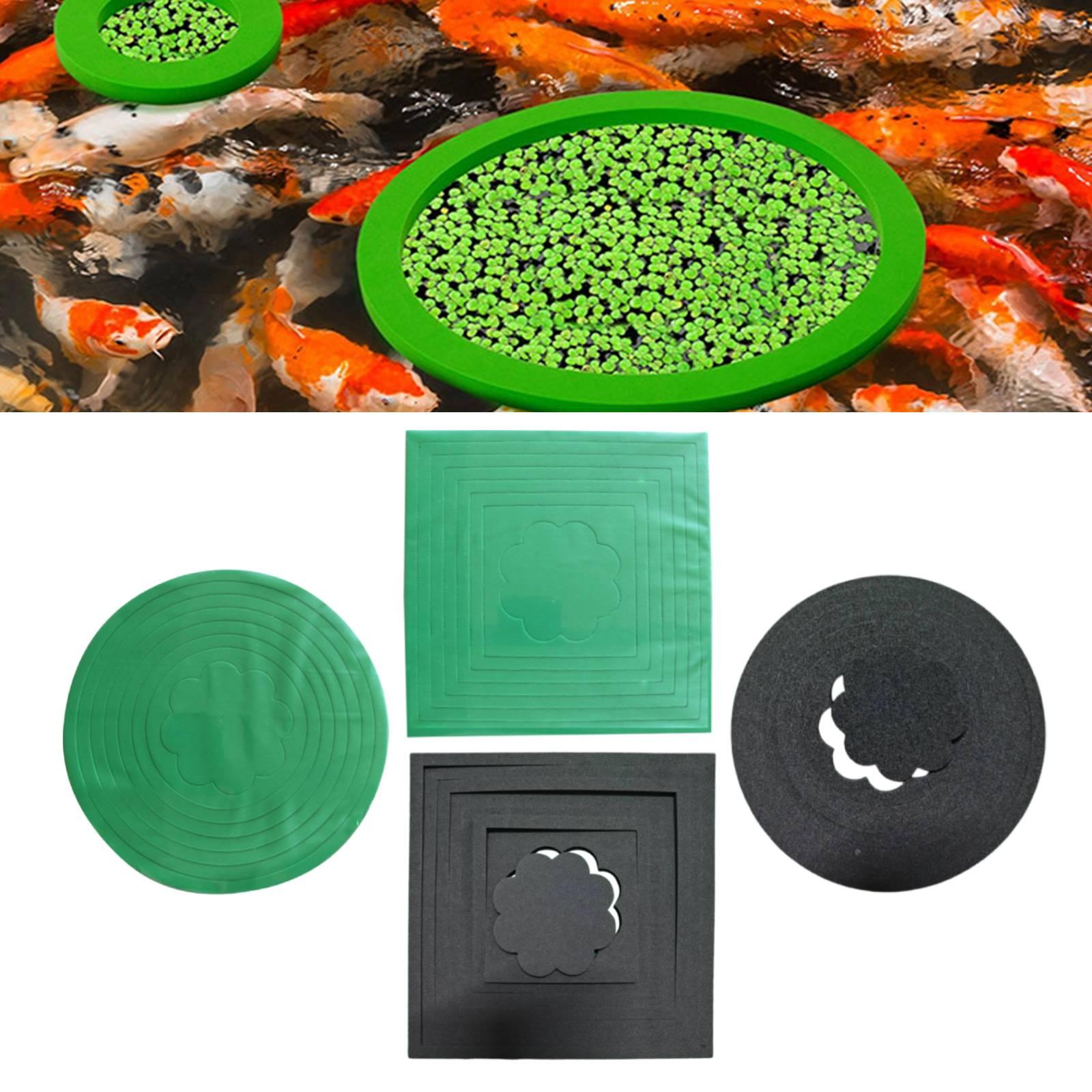 Aquarium Plant Rings - حلقات نباتية عائمة من مادة EVA