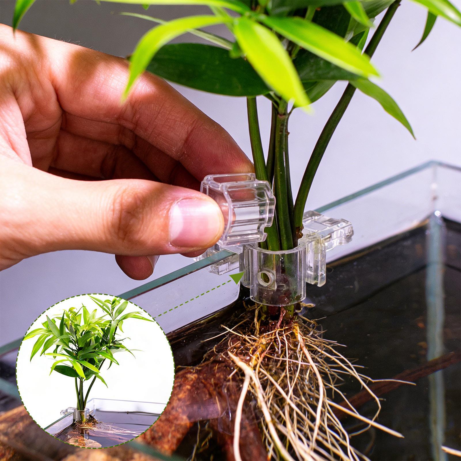 Aquarium Plant Diseases - 6 قطع حاملات نباتات للأحواض المائية،