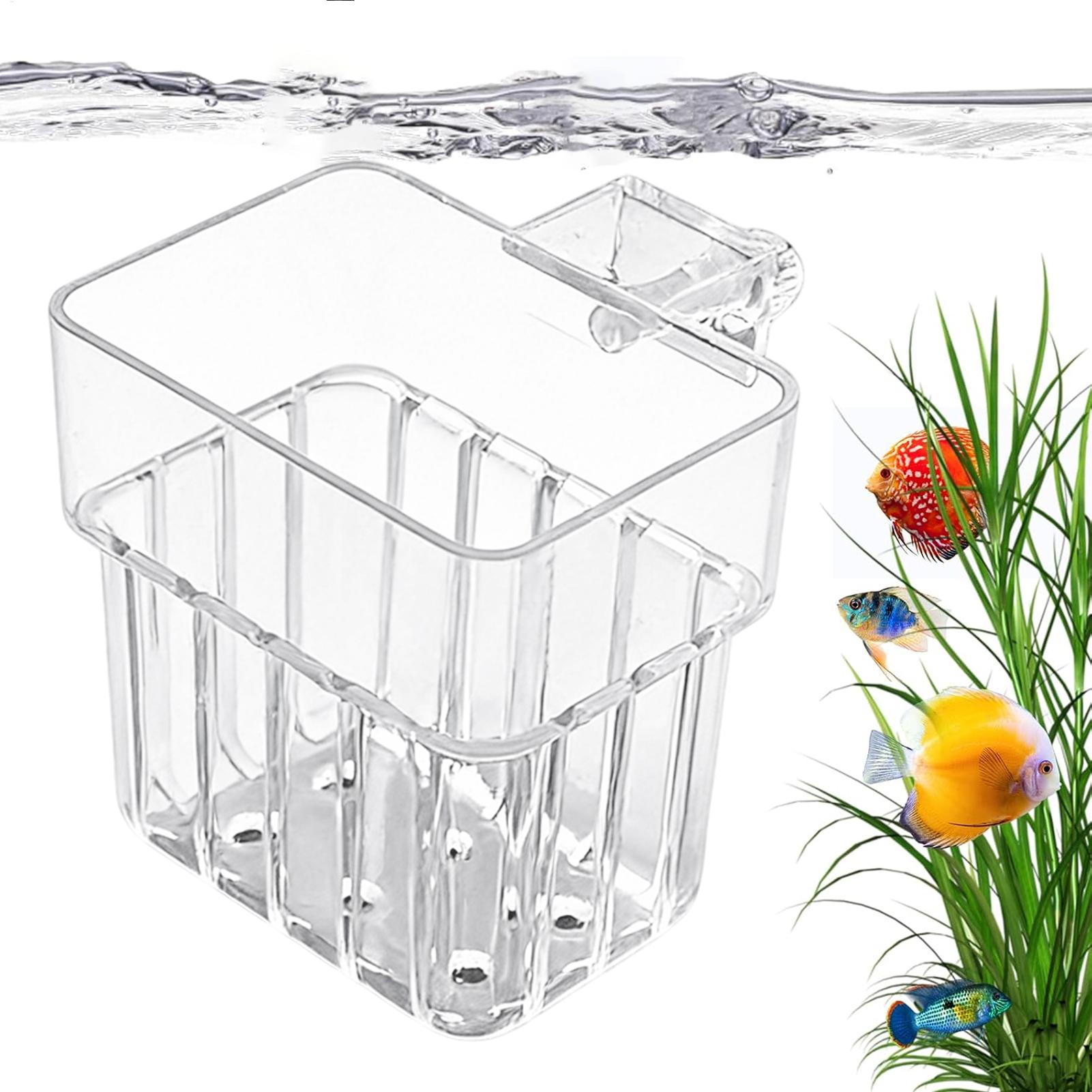 Aquarium Plant Rings - حامل شفاف قابل للتعليق لأحواض السمك،