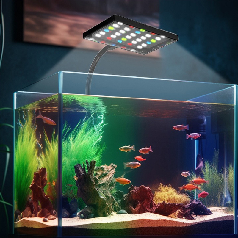 مصباح LED لحوض السمك يعمل عبر  - مراجعة Aquarium Plant Diseases وسعره