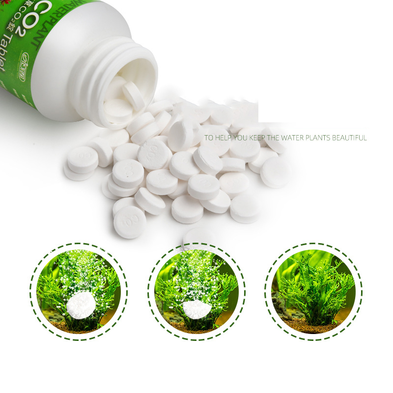 ISTA حوض للأسماك حوض السمك CO2 - مراجعة Aquarium Plant Fertilizer وسعره