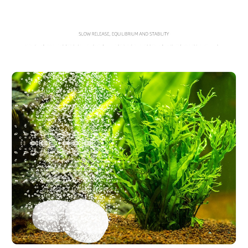 ISTA حوض للأسماك حوض السمك CO2 - مراجعة Aquarium Plant Fertilizer وسعره