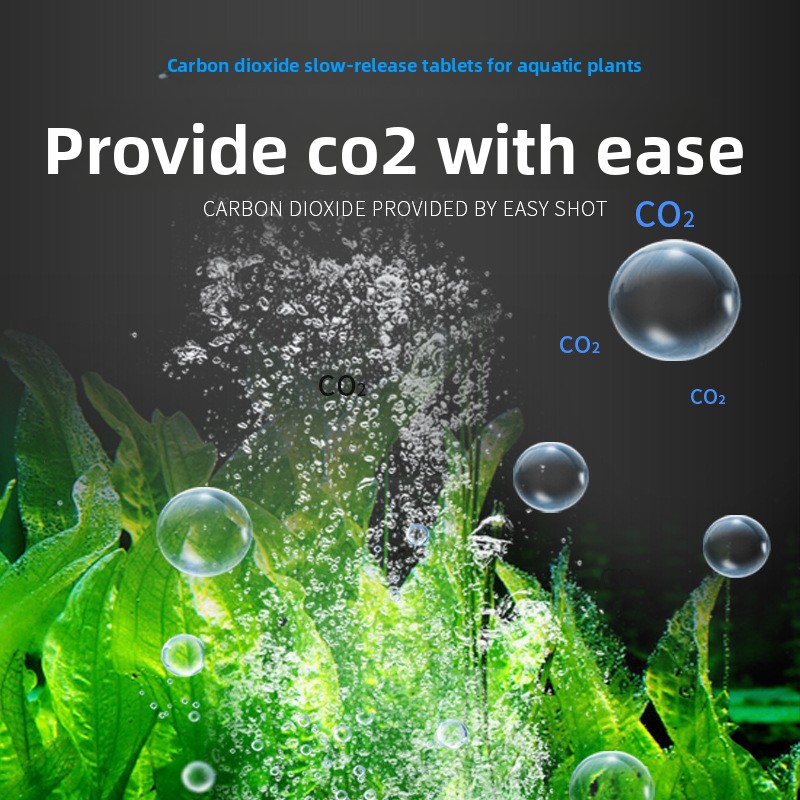 أقراص BESSN Aquarium CO2 ذات ا - مراجعة Aquarium Plant Yellowing وسعره