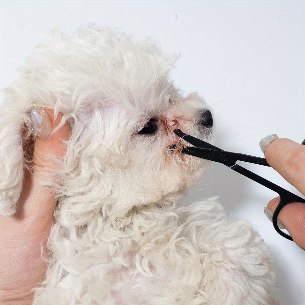 Pet Facial Cleaning Comb Set R - مراجعة Trimming Scissor Set وسعره