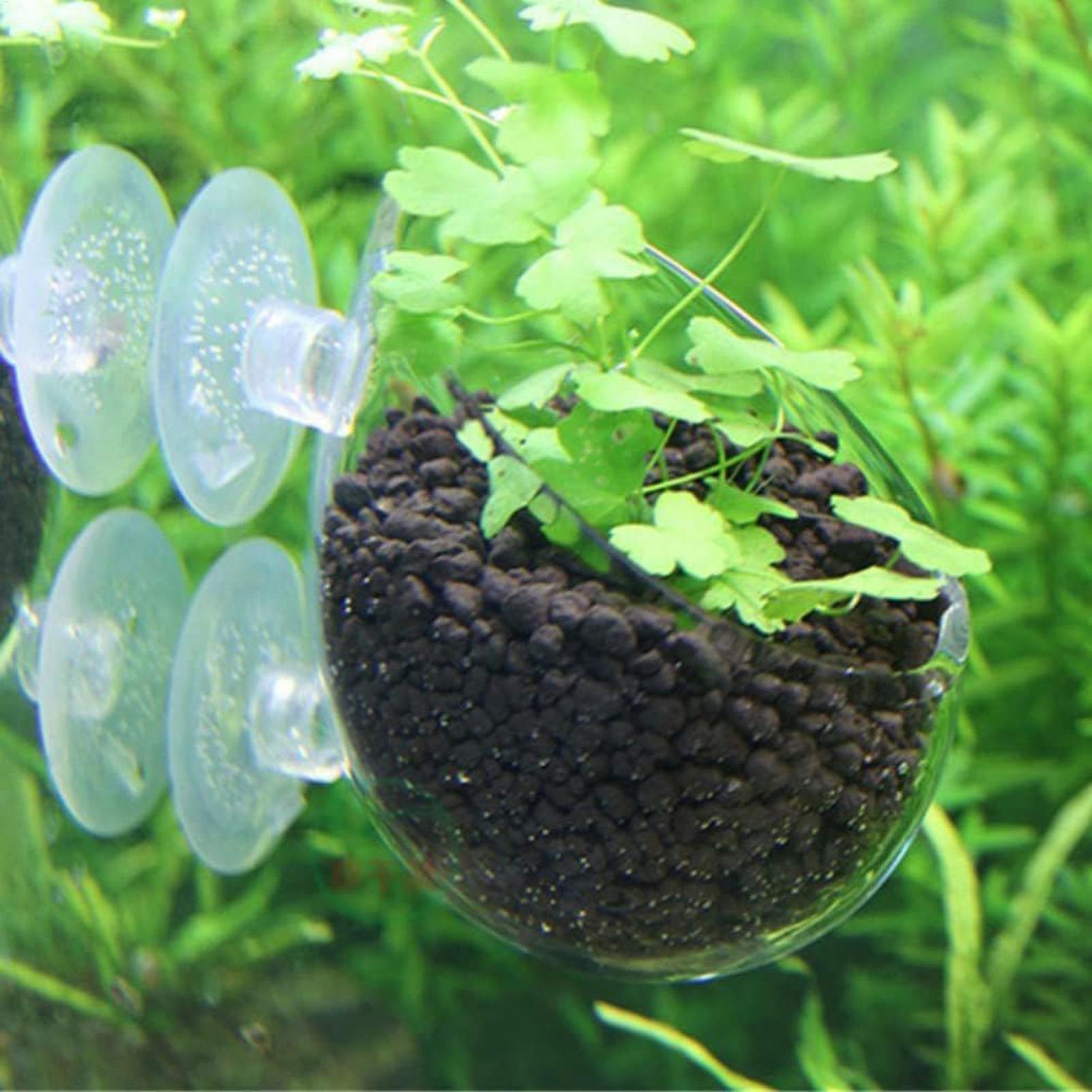 حامل نباتات الزينة الزجاجي مع  - مراجعة Aquarium Plant Gel وسعره