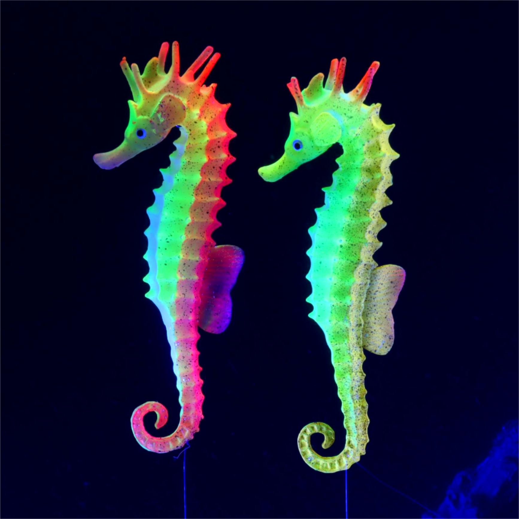 1 قطعة ديكور خزان الأسماك مضيئ - مراجعة Aquarium Plant Gel وسعره