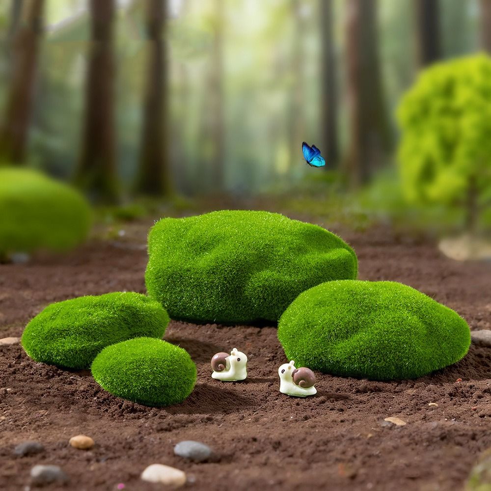 2/4/6/10 قطع من أحجار الطحالب  - مراجعة Planted Aquarium Models وسعره