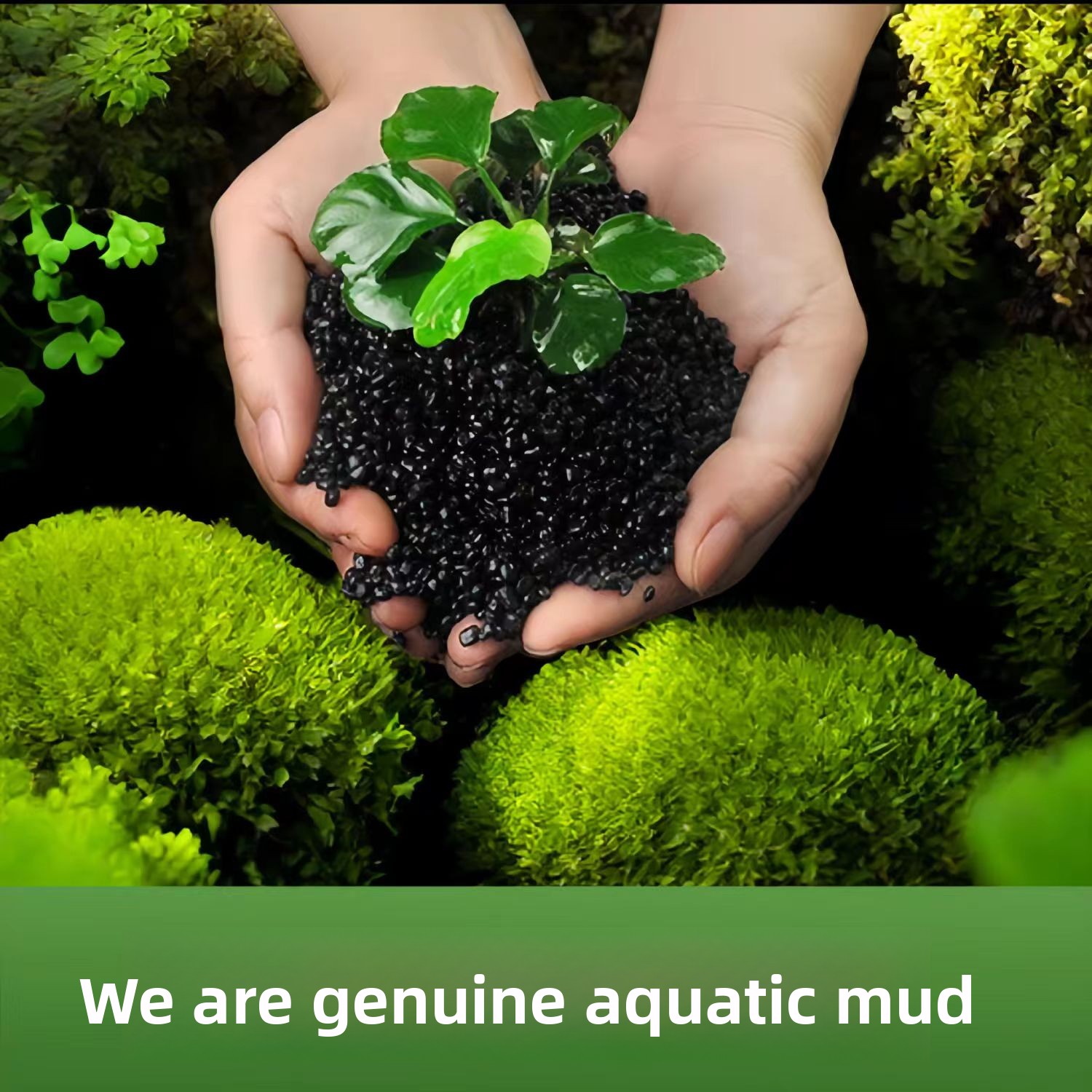 طين أسود غير سيراميكي لتزيين أ - مراجعة Aquarium Planted Sand وسعره