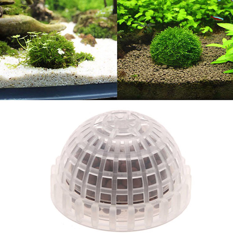 1 قطعة مستلزمات الحيوانات الأل - مراجعة Planted Aquarium Models وسعره