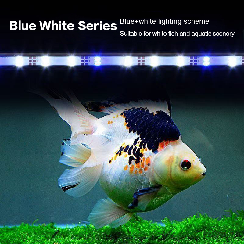 17-47 سنتيمتر USB التوصيل حوض  - مراجعة Aquarium Plant Diseases وسعره