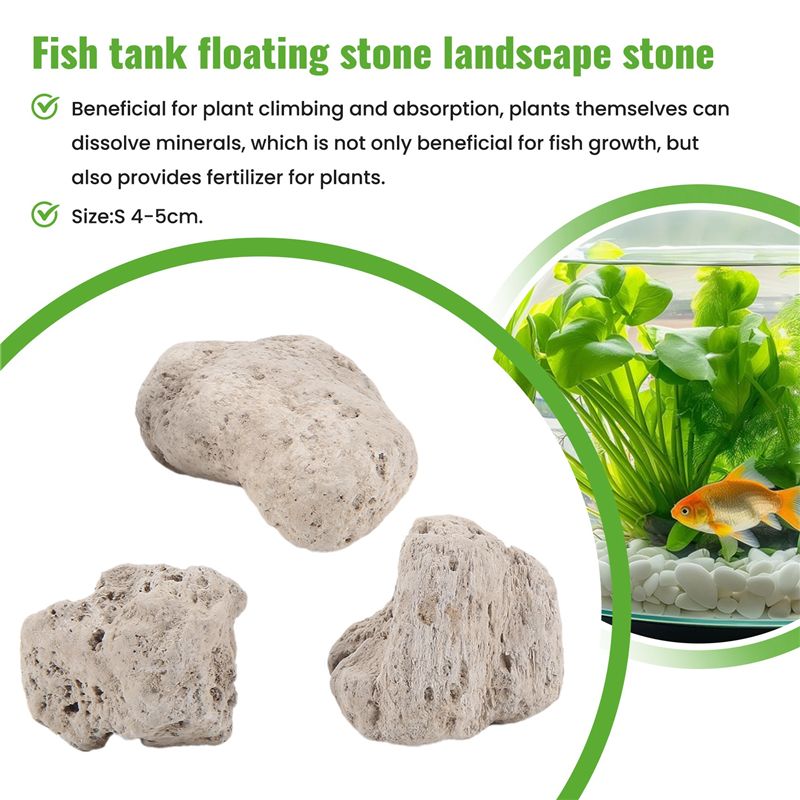 A20F-3 قطع من الصخور العائمة ا - مراجعة Planted Aquarium Models وسعره