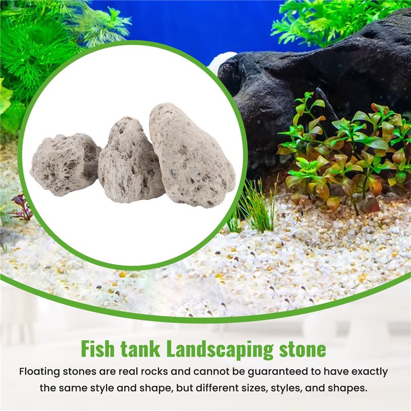 A20F-3 قطع من الصخور العائمة ا - مراجعة Planted Aquarium Models وسعره