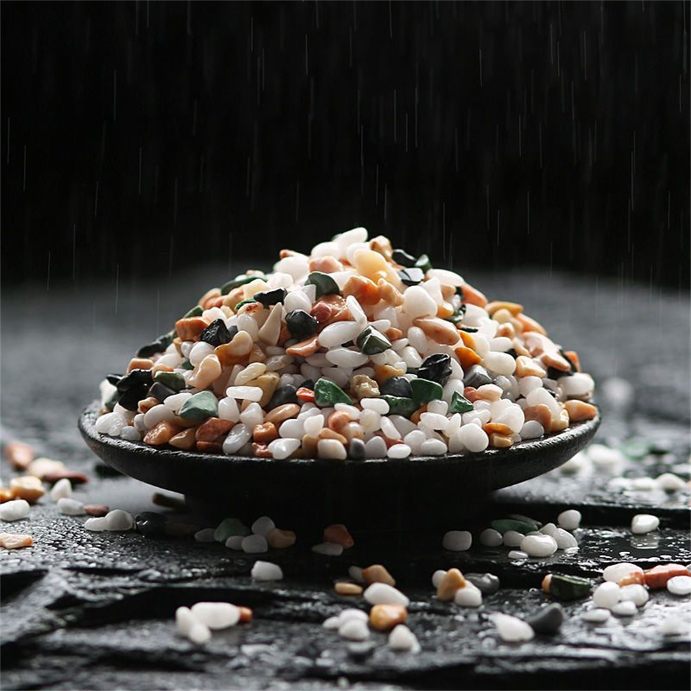50/100 جرام بلورات طبيعية الحص - مراجعة Aquarium Planted Sand وسعره