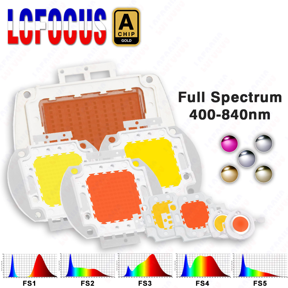 1 واط 3 واط 5 واط 10 واط 20 وا - مراجعة Aquarium Planted Seeds وسعره