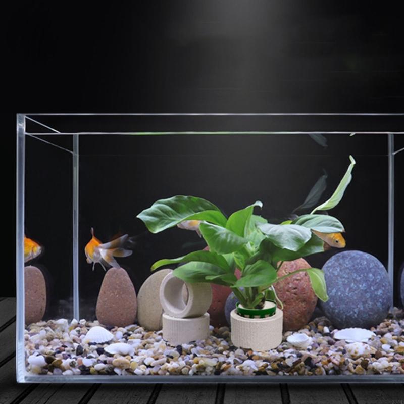37ME 10 قطعة حوض السمك النبات  - مراجعة Aquarium Plant Rings وسعره