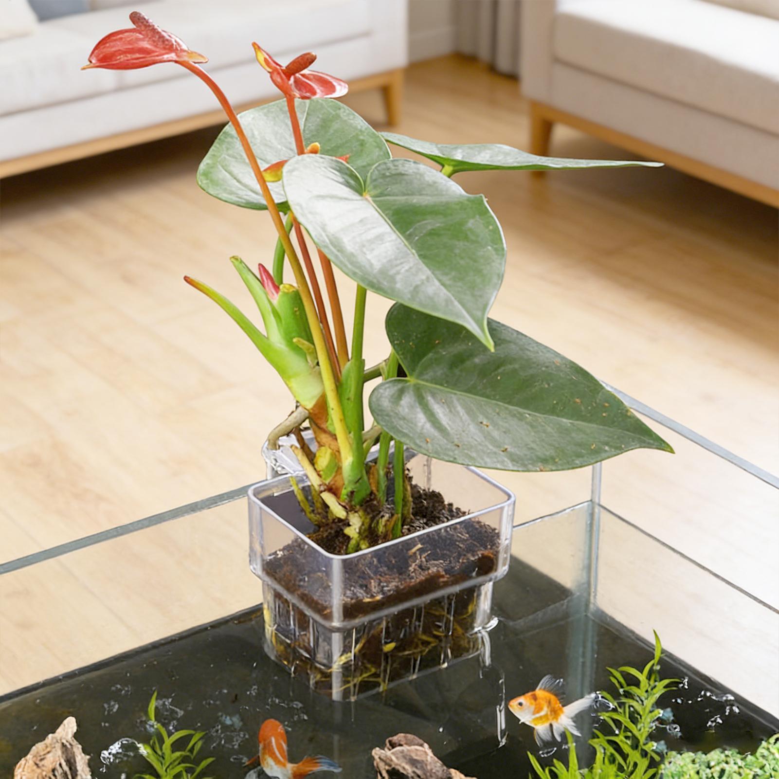 سلة نباتات للأحواض المائية، وع - مراجعة Aquarium Plant Rings وسعره