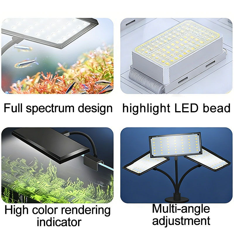 إضاءة LED كاملة الطيف لحوض الس - مراجعة Aquarium Plant Diseases وسعره