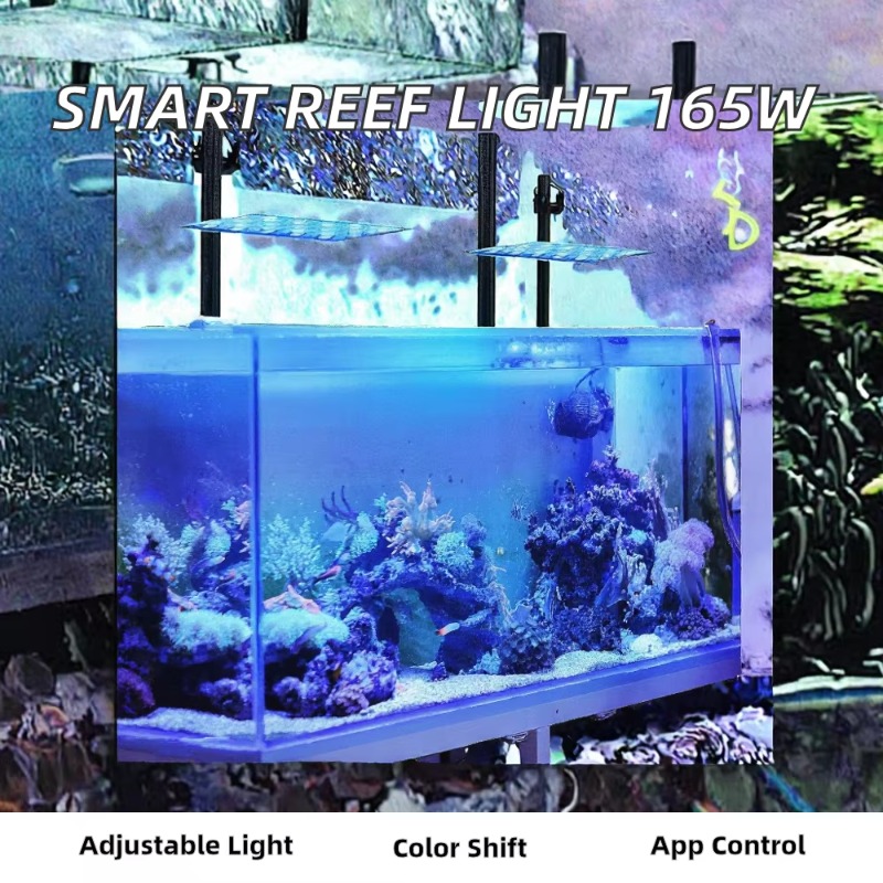 إضاءة LED للأحواض السمكية بقوة - مراجعة Planted Aquarium Models وسعره