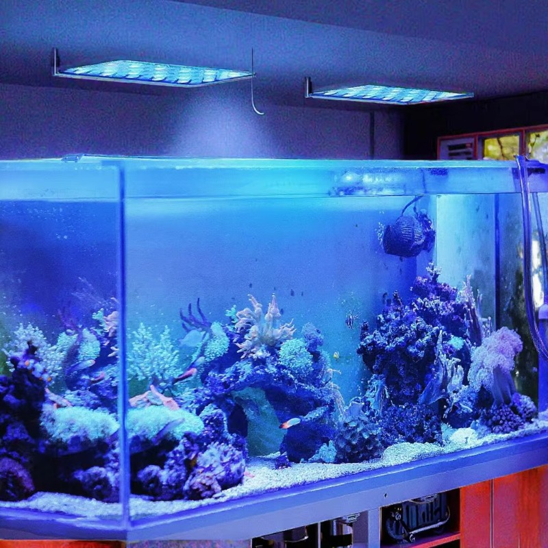 إضاءة LED للأحواض السمكية بقوة - مراجعة Planted Aquarium Models وسعره