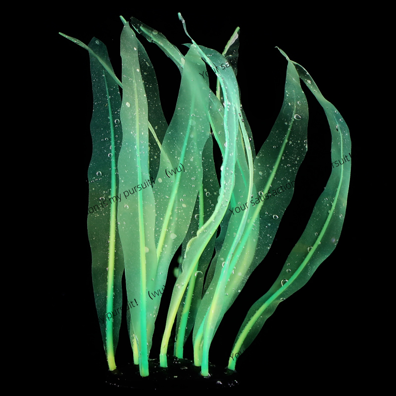 محاكاة نبات عشب البحر الديكور  - مراجعة Aquarium Plant Gel وسعره
