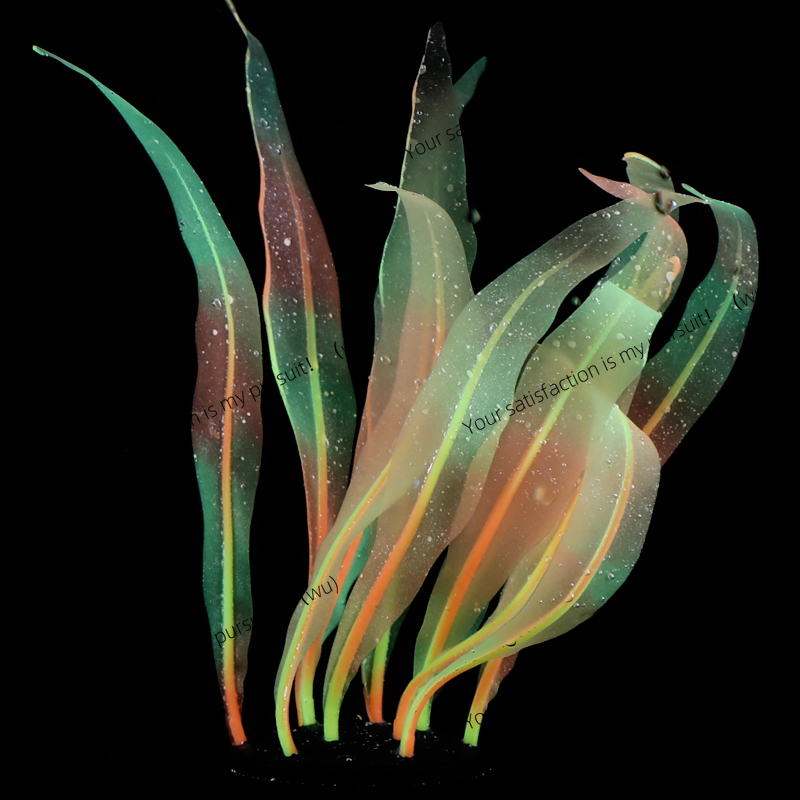 محاكاة نبات عشب البحر الديكور  - مراجعة Aquarium Plant Gel وسعره