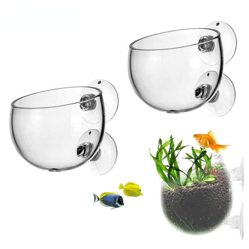 جديد حوض السمك وعاء النبات كوب - مراجعة Aquarium Planted Seeds وسعره