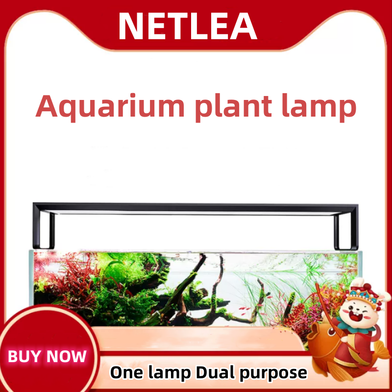 NETLEA 540S/590S حوض السمك الط - مراجعة Aquarium Plant Diseases وسعره