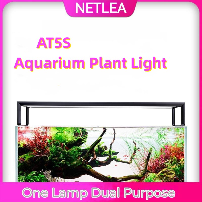NETLEA 540S/590S حوض السمك الط - مراجعة Aquarium Plant Diseases وسعره