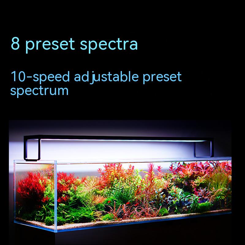 NETLEA 540S/590S حوض السمك الط - مراجعة Aquarium Plant Diseases وسعره