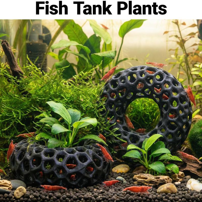 مخبأ جديد للجمبري على شكل حلقة - مراجعة Aquarium Plant Rings وسعره