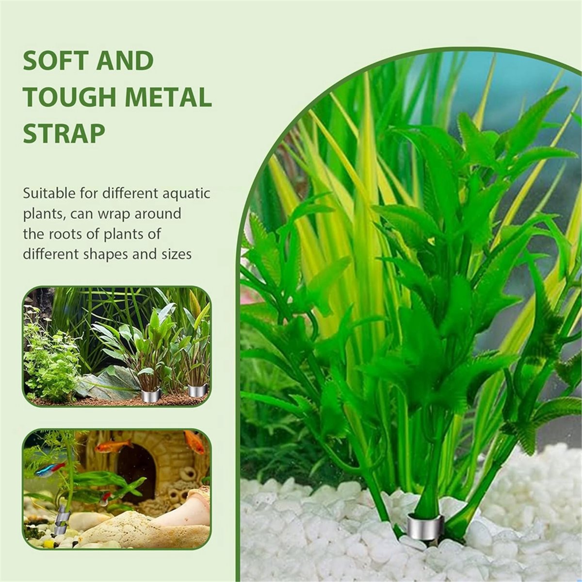 أوزان نباتات أحواض السمك الموف - مراجعة Aquarium Plant Rings وسعره