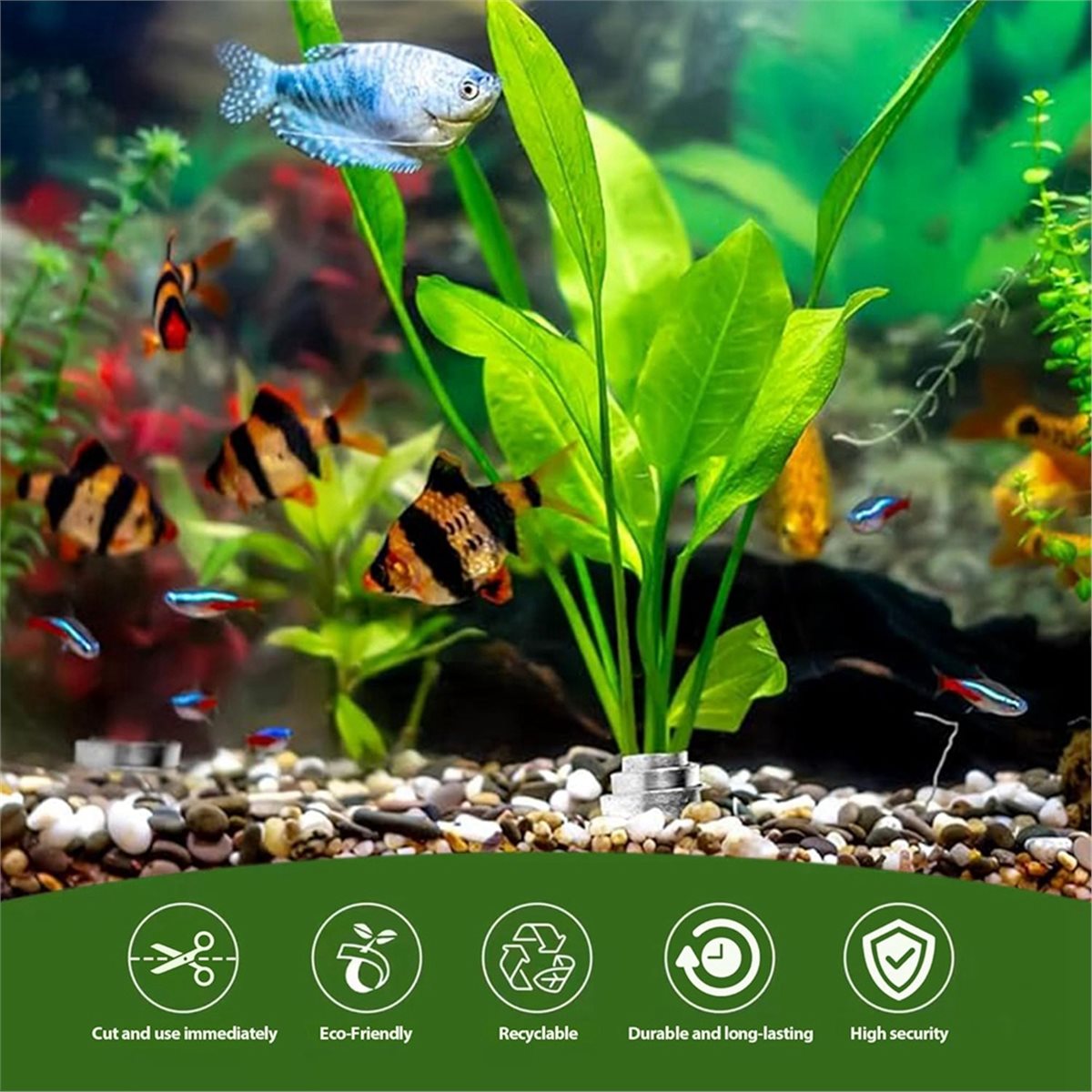 أوزان نباتات أحواض السمك الموف - مراجعة Aquarium Plant Rings وسعره