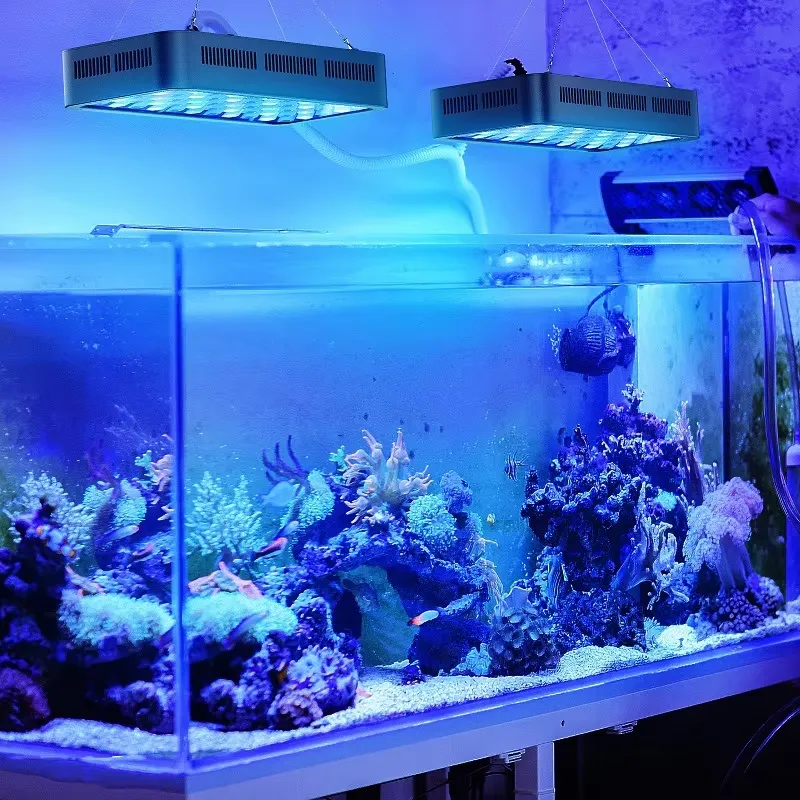 إضاءة حوض السمك LED بقوة 165 و - مراجعة Planted Aquarium Models وسعره