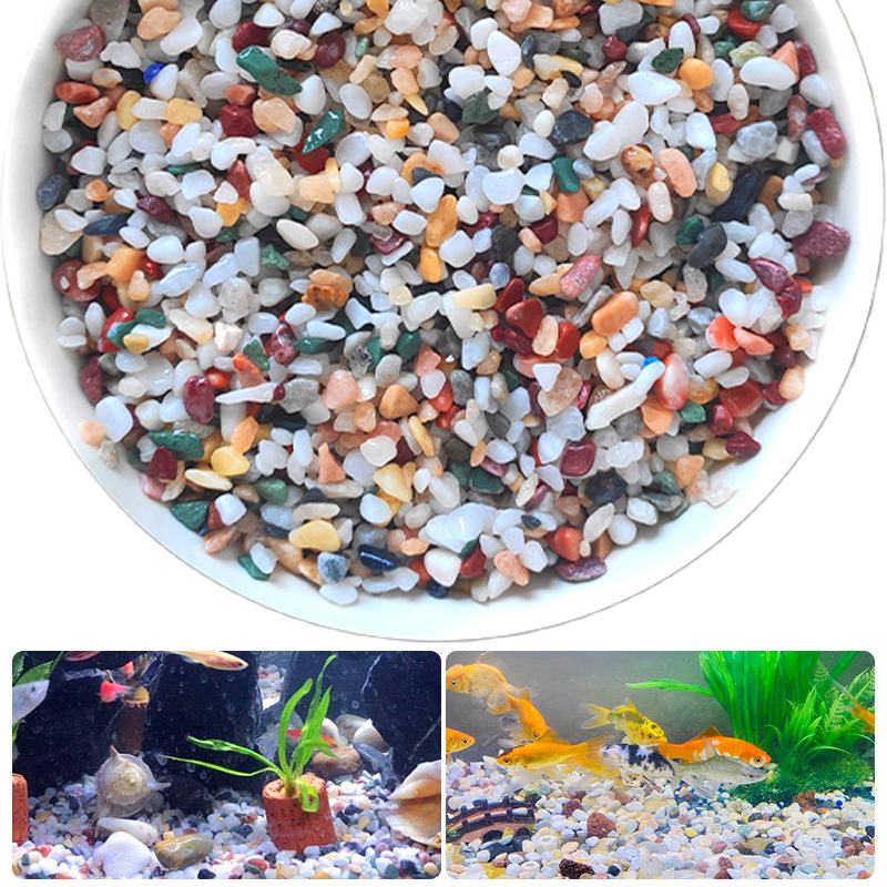 حصى طبيعي 200~1000 جرام لتزيين - مراجعة Aquarium Planted Sand وسعره