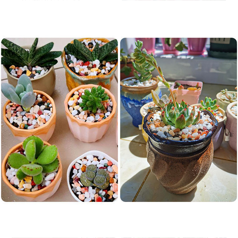 رمل قاع حوض السمك، إكسسوارات D - مراجعة Aquarium Planted Sand وسعره