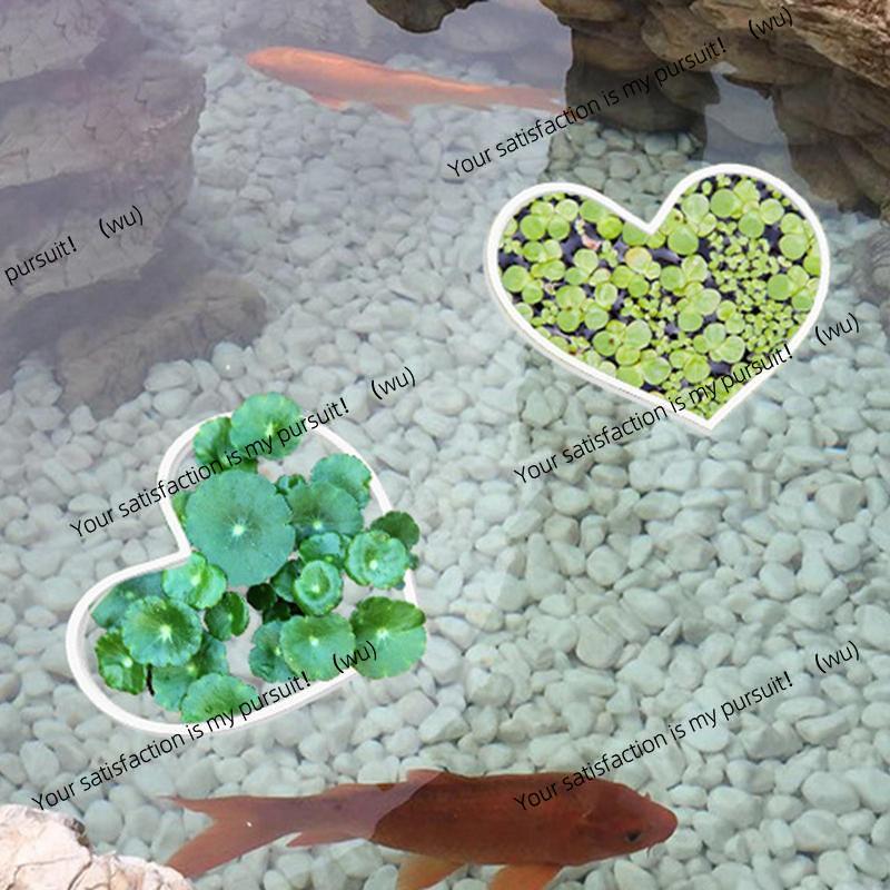 حوض السمك العائمة حلقات النبات - مراجعة Aquarium Plant Rings وسعره
