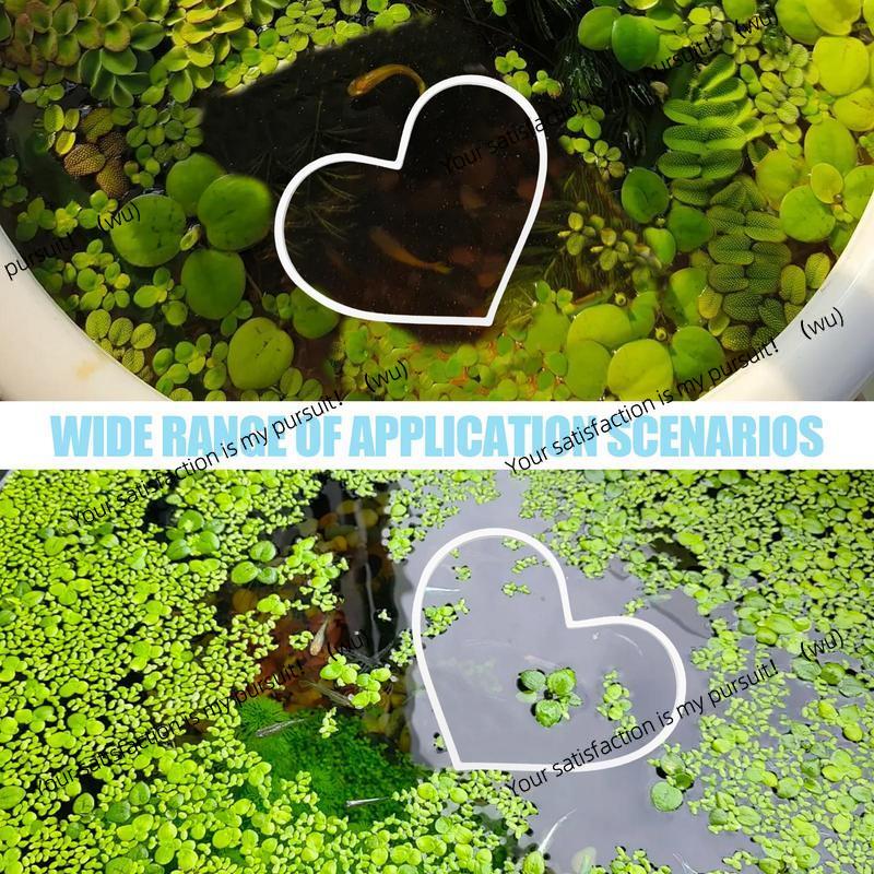 حوض السمك العائمة حلقات النبات - مراجعة Aquarium Plant Rings وسعره