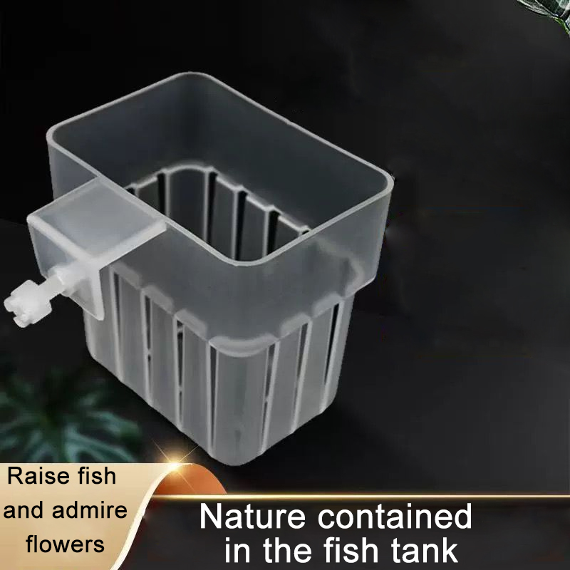 حامل نباتات طوارئ مثبت على الح - مراجعة Aquarium Plant Rings وسعره