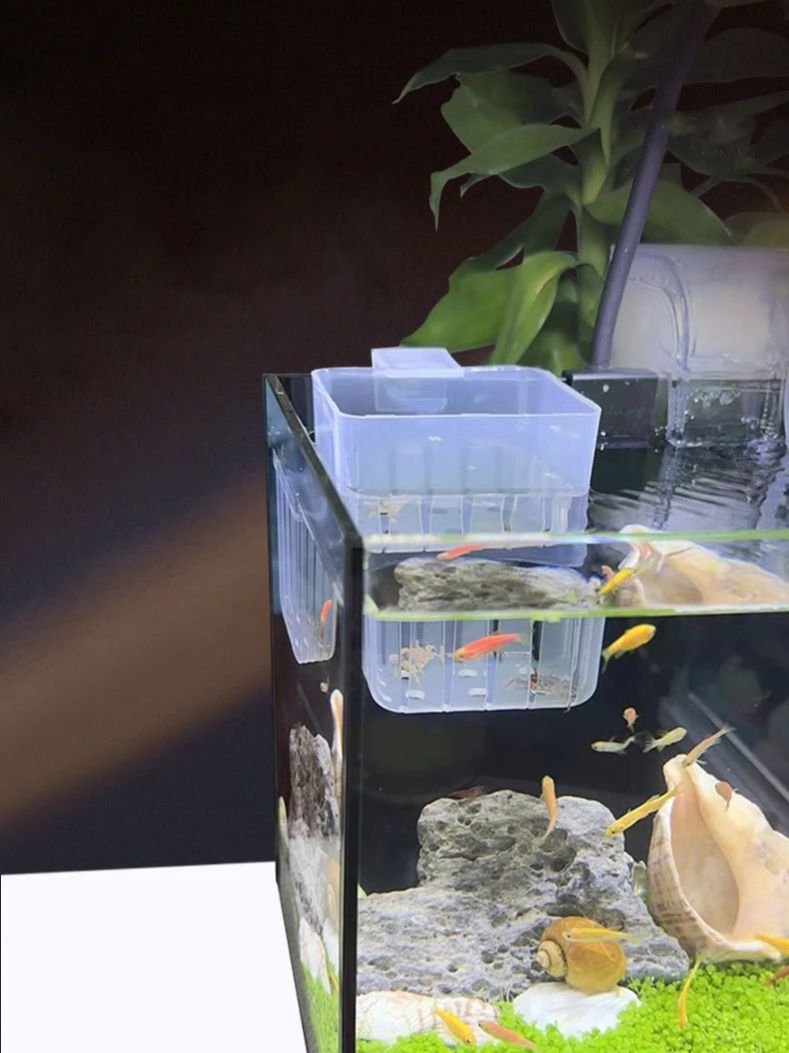 حامل نباتات طوارئ مثبت على الح - مراجعة Aquarium Plant Rings وسعره
