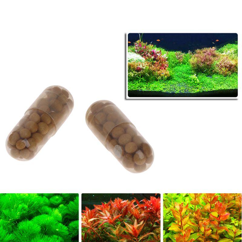 QX2E حوض السمك الأسمدة النباتي - مراجعة Planted Aquarium Best Fish وسعره