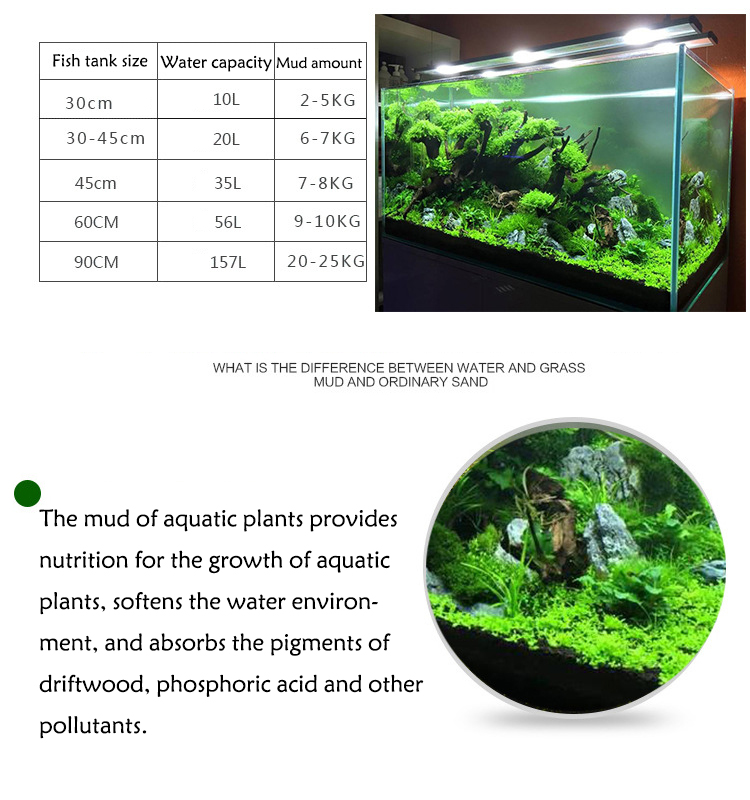 نباتات أحواض السمك ، التربة ،  - مراجعة Aquarium Plant Diseases وسعره