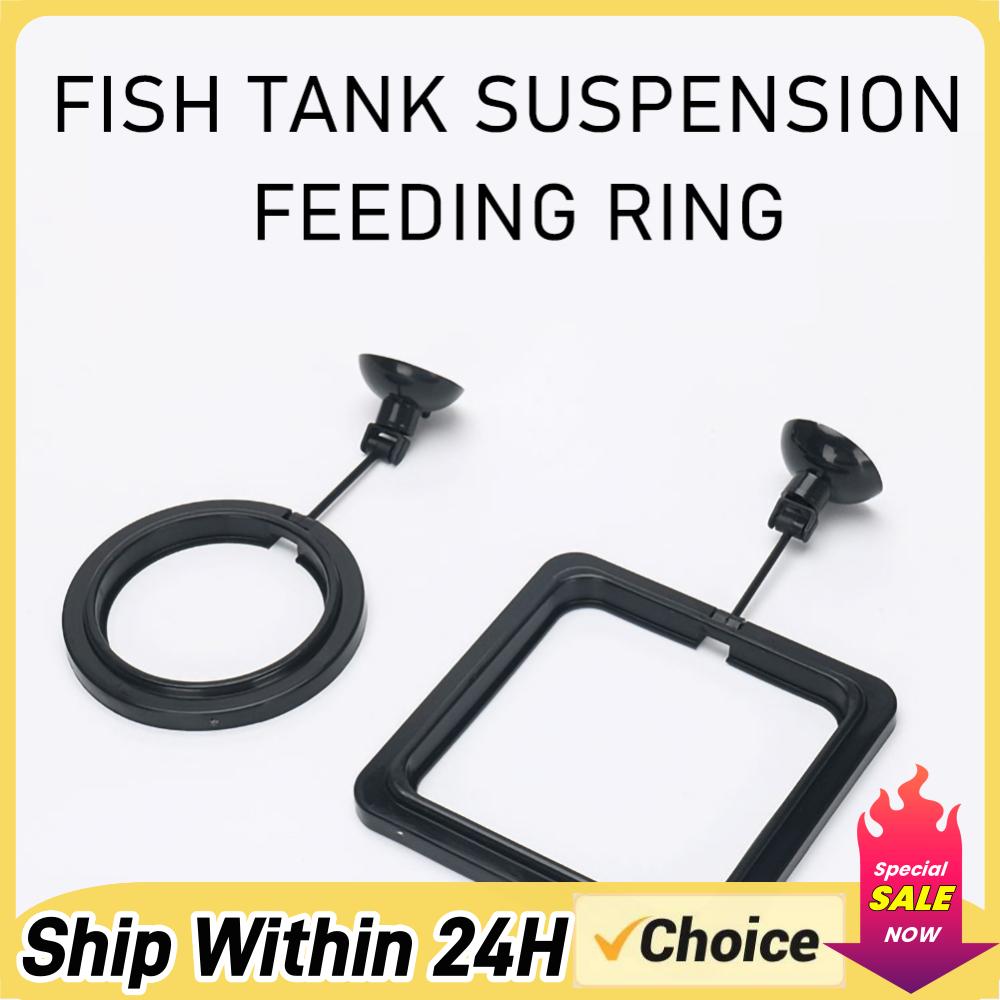 حلقة طعام عائمة للأسماك، دائرة - مراجعة Aquarium Plant Rings وسعره
