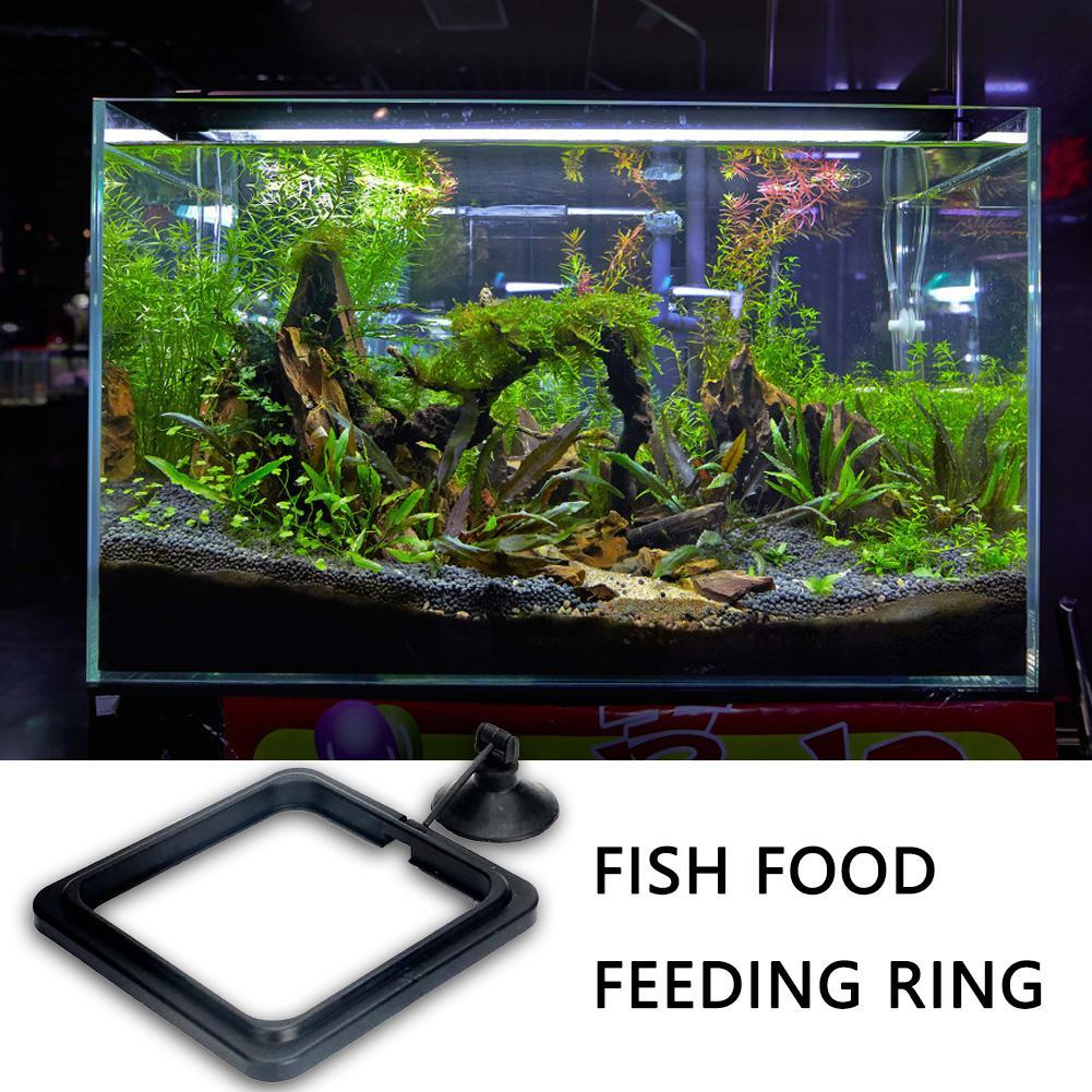 حلقة طعام عائمة للأسماك، دائرة - مراجعة Aquarium Plant Rings وسعره