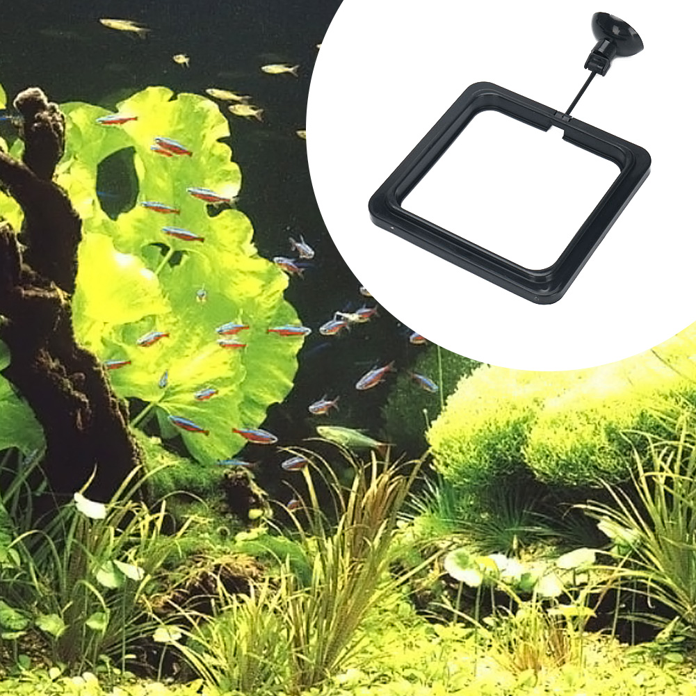 حلقة طعام عائمة للأسماك، دائرة - مراجعة Aquarium Plant Rings وسعره