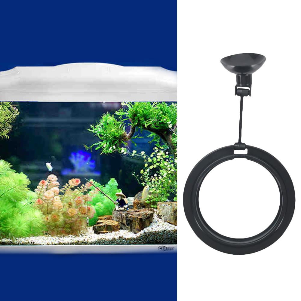 حلقة طعام عائمة للأسماك، دائرة - مراجعة Aquarium Plant Rings وسعره